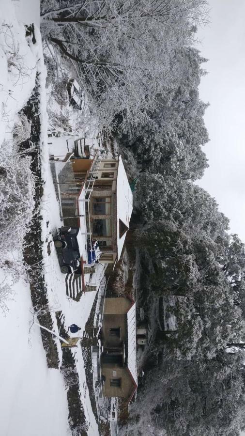 Simba Cafe & Lodge Binsar Exterior photo